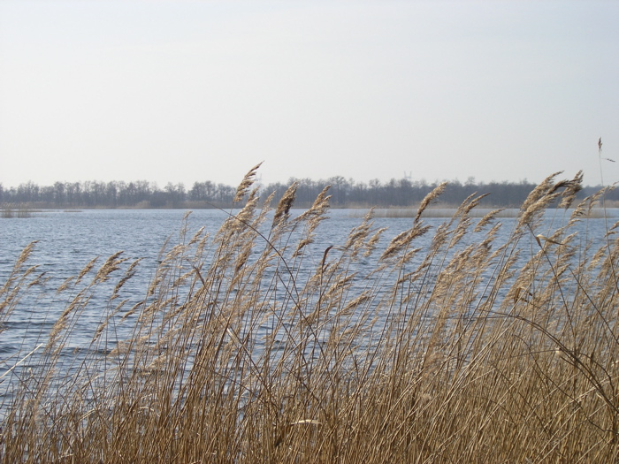 P2060018.JPG