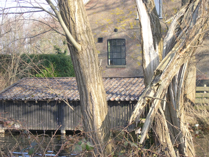 P2060020.JPG