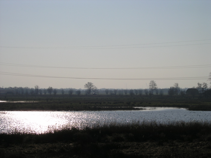 P2060042.JPG