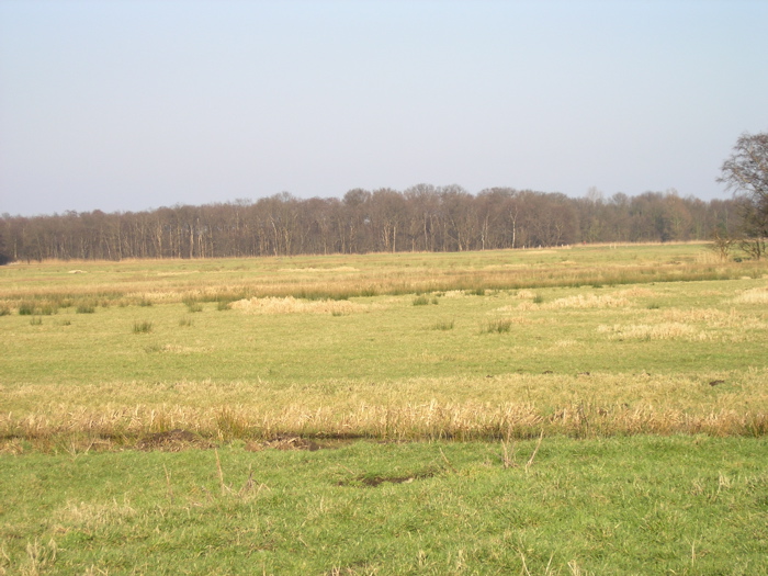 P2060048.JPG