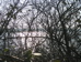 P2060002.JPG