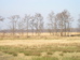 P2060016.JPG