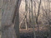 P2060003.JPG