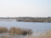 P2060004.JPG