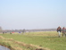 P2060034.JPG