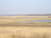 P2060040.JPG