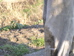 P2060045.JPG