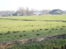 P2060010.JPG