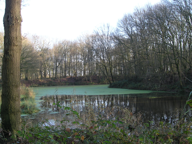 Fortgracht