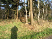 Tegenlicht