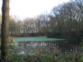 Fortgracht