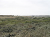 P9100011.JPG