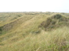 P9100018.JPG