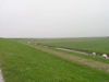 P9110043.JPG