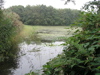P9110057.JPG