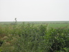 P9110063.JPG