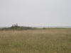 P9110074.JPG