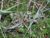 P9110078.JPG