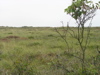 P9110084.JPG
