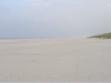 P9090026
